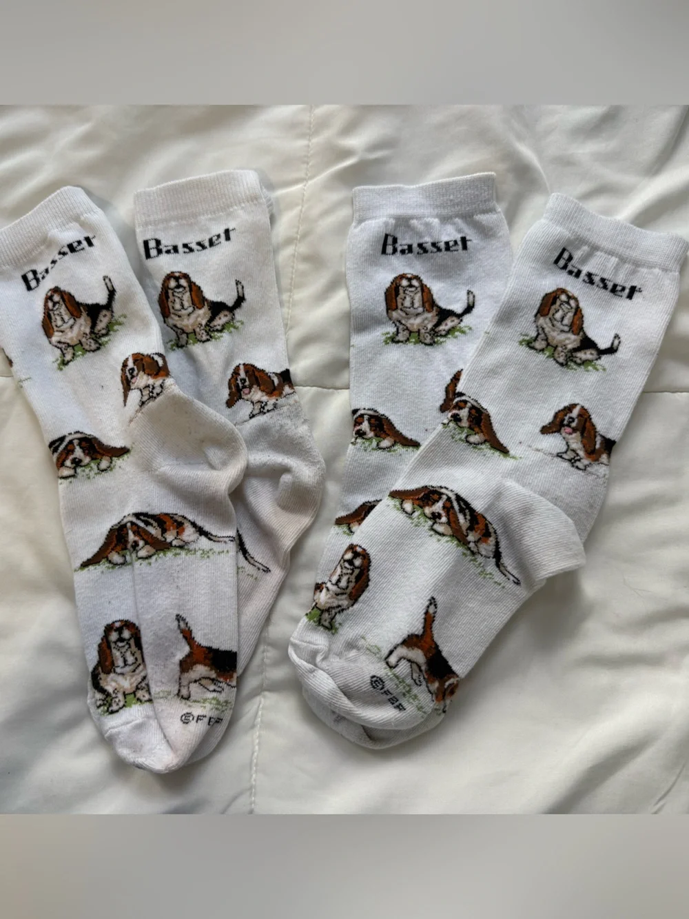Basset Hound Dog Cotton Socks